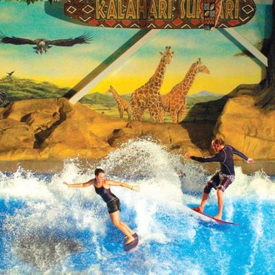 شبیه ساز موج سواری OEM Flowrider با پمپ آب 65kw و PVC نرم و قوی 15.3m * 9.3m