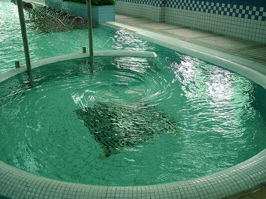 تجهیزات آب‌درمانی SPA مقاوم در برابر خوردگی با ساختار فولادی گالوانیزه گرم و سیستم کنترل هوشمند